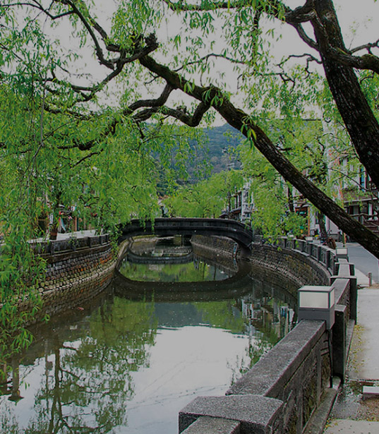 写真：美しい柳並木が並ぶ川沿いの道